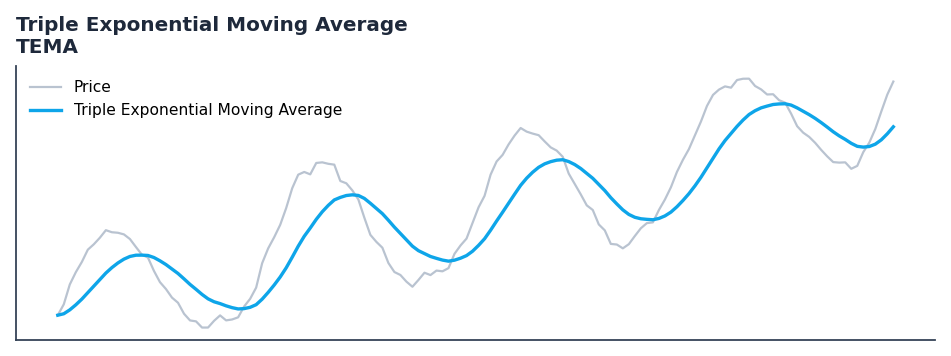 Triple Exponential Moving Average — annotated preview mapping to core implementation